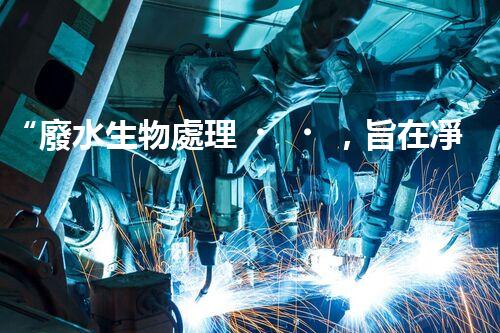 “廢水生物處理，旨在凈化水源，守護(hù)碧水藍(lán)天”